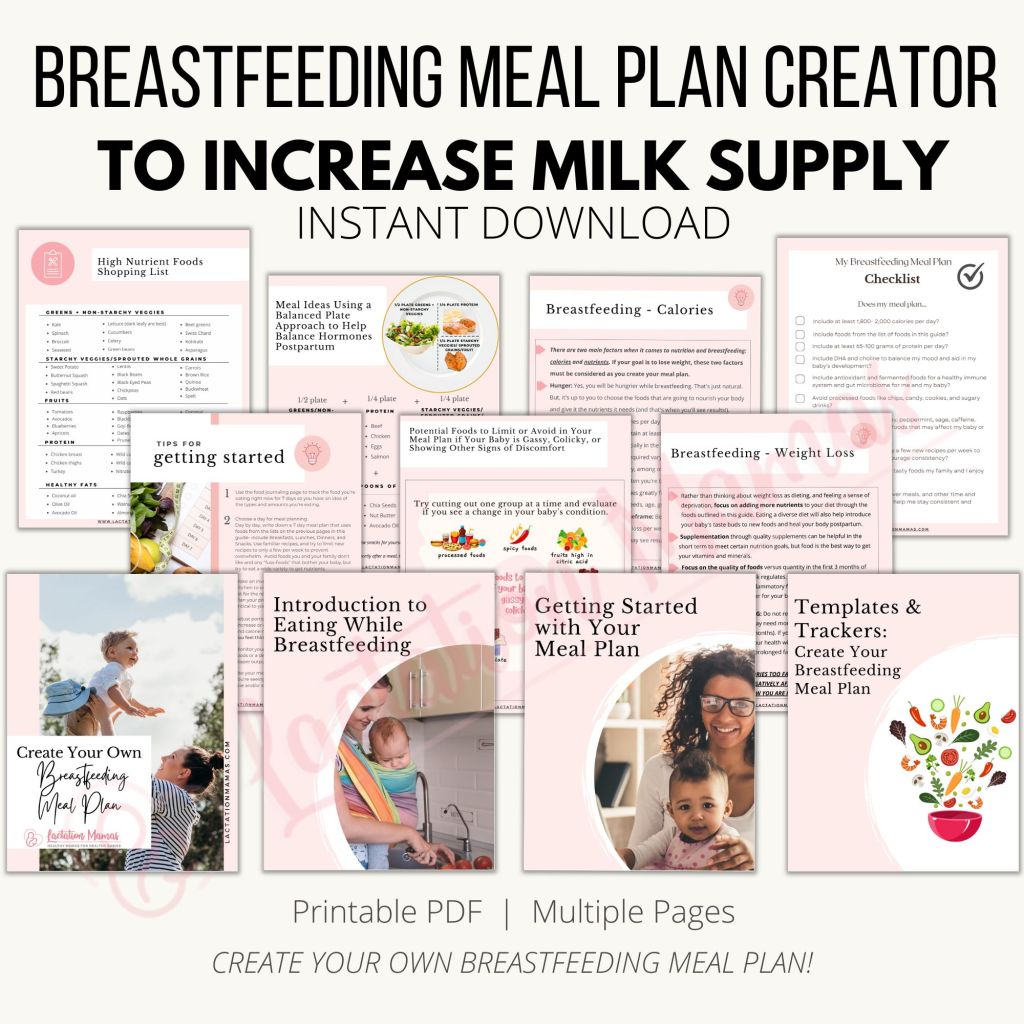 breastfeeding meal plan creator